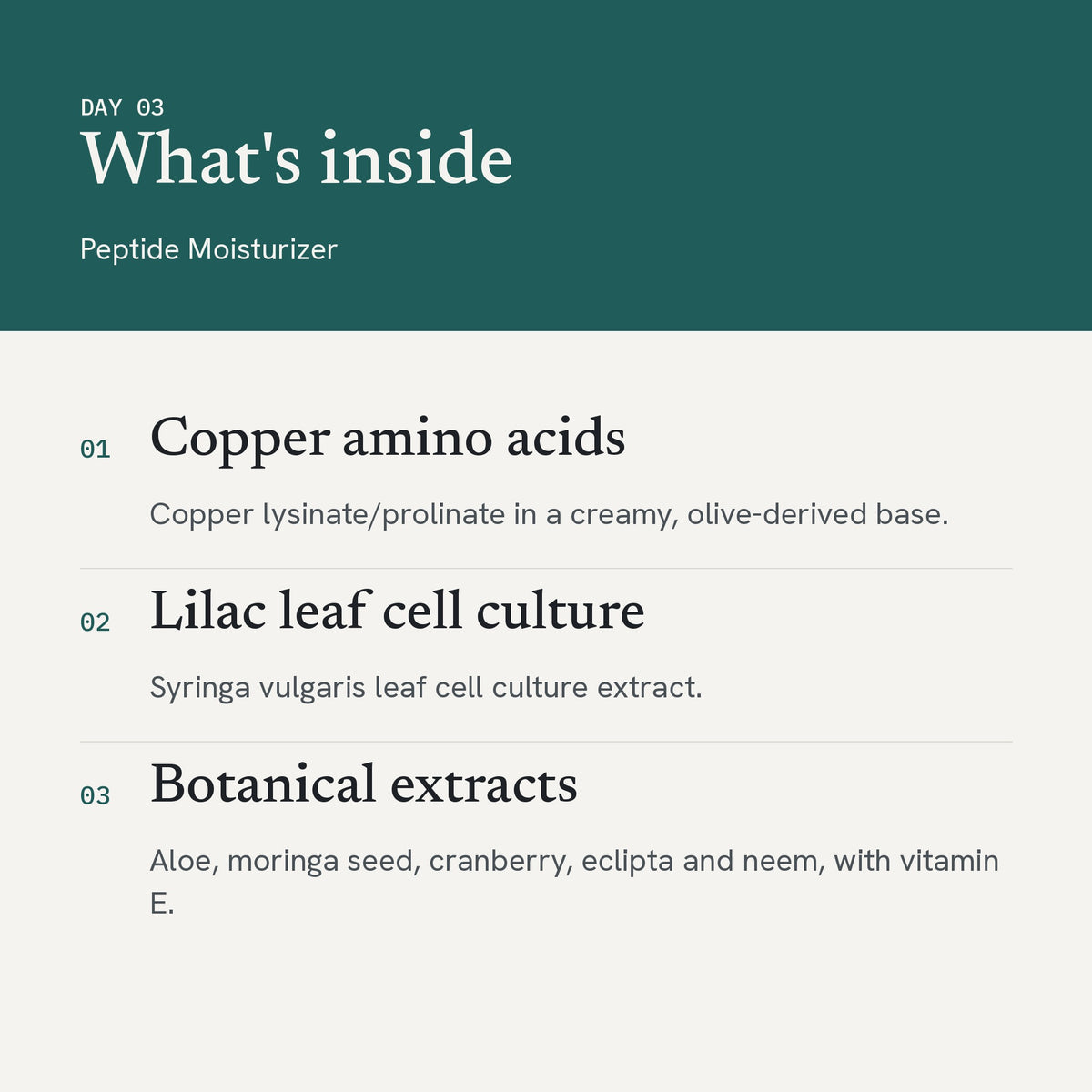 satinvie. Peptide Moisturizer, what is inside